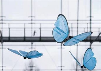 WRC2016觀察：機(jī)器人越來(lái)越“心靈手巧”