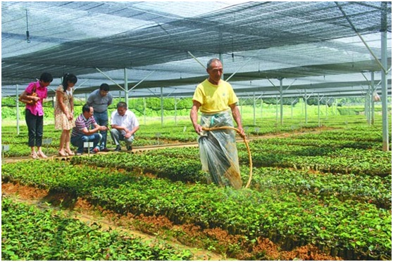 AGV小車運用于農(nóng)業(yè)育苗，可行嗎？