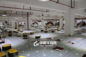 “萌萌噠”快遞分揀機(jī)器人現(xiàn)身義烏 可減少70%人工