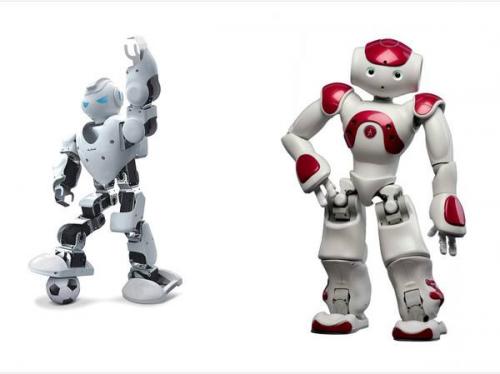 布科思：讓機器人“自由行走”