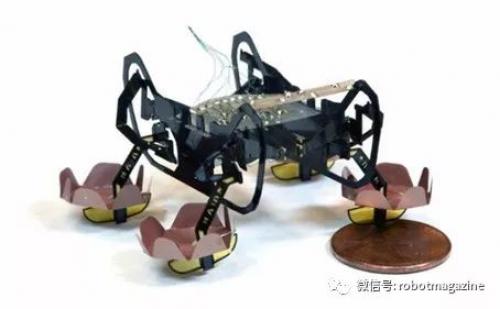哈佛大學(xué)研發(fā)新型蟑螂仿生機(jī)器人