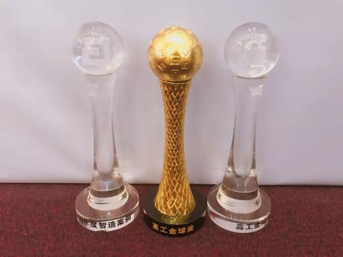 金球再現(xiàn)，實力見證！華數(shù)機器人榮獲2018高工機器人金球獎！