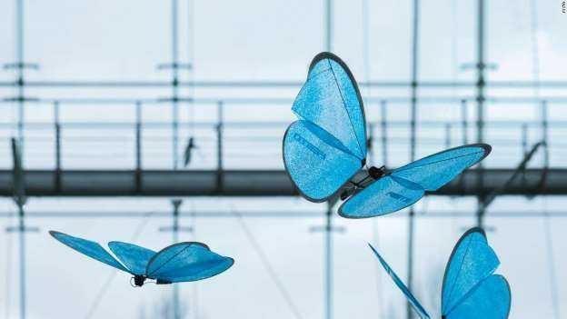 英國(guó)人研發(fā)仿生蜘蛛機(jī)器人，可在林區(qū)進(jìn)行勘探，打破吉尼斯紀(jì)錄