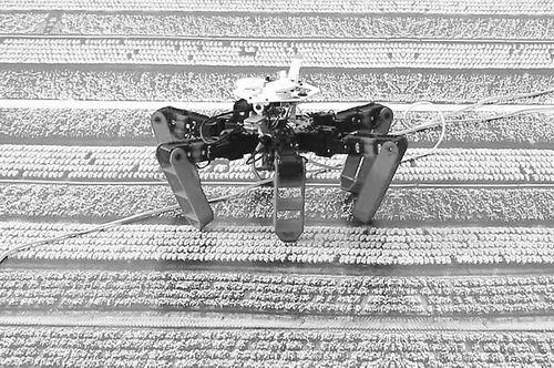 模仿沙漠螞蟻，法國(guó)研發(fā)出首個(gè)用陽(yáng)光而非GPS導(dǎo)航的機(jī)器人