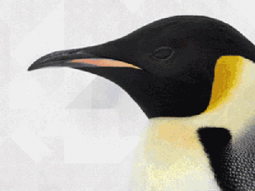 這個(gè)折紙機(jī)器人能抓起超100倍自重物體！