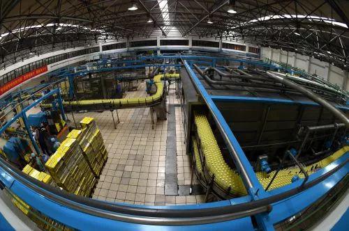 娃哈哈造機(jī)器人：失敗的多元化路上再嘗試