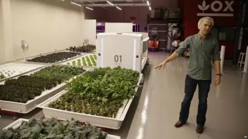 再見菜農(nóng)！美國機(jī)器人能自己種菜了