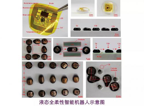 全球首個(gè)液態(tài)全柔性智能機(jī)器人在天津大學(xué)誕生