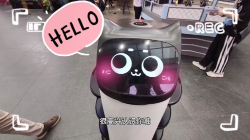 被Angelababy、周震南等摸頭殺？機器人貝拉憑什么受寵