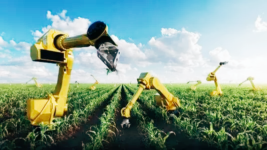 智能喂料巡檢機器人：喂完兔兔自己充電