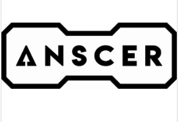 印度ANSCER公司