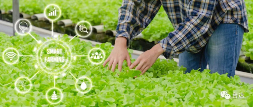 空間復(fù)合利用 臺達自動化助力種菜新成就