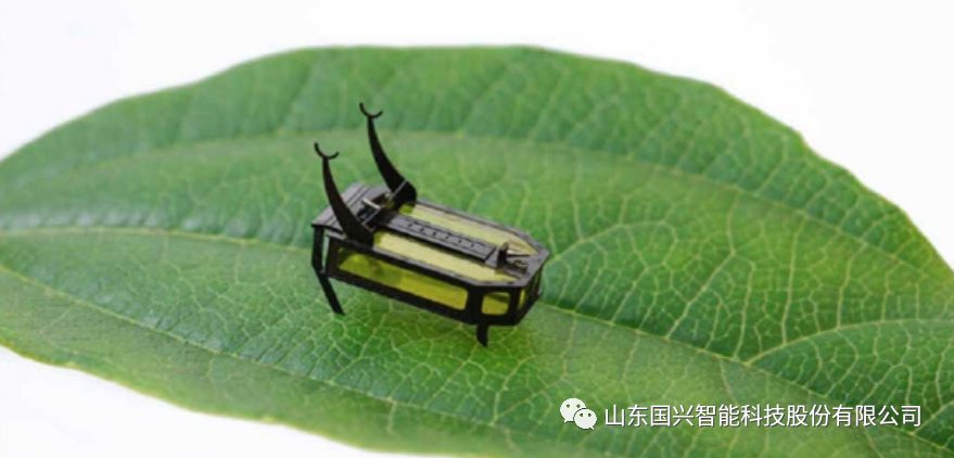 酒精驅(qū)動的微型昆蟲機(jī)器人你見過嗎？