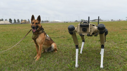 美國佛羅里達(dá)空軍基地收到第一批機器人警衛(wèi)“狗”