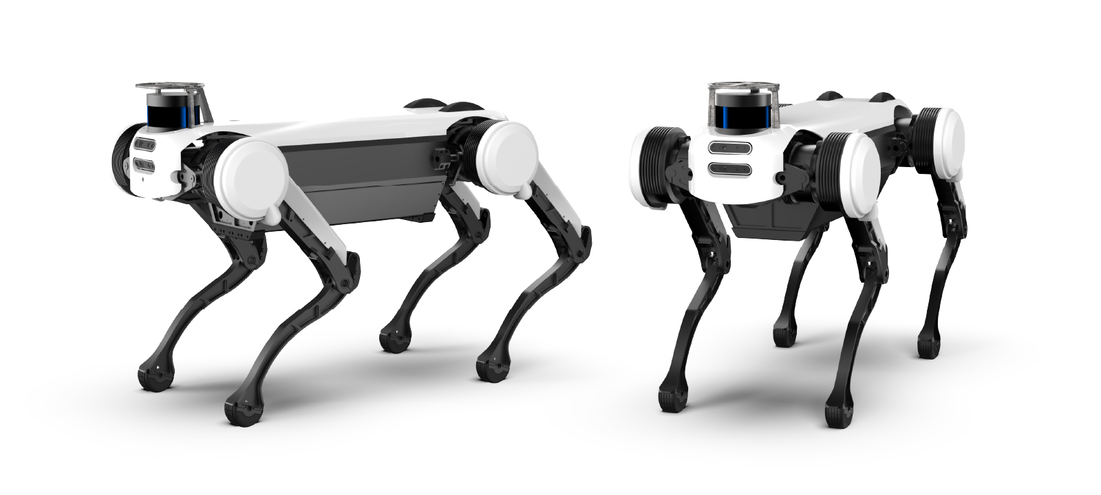 云深處  絕影Pro