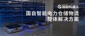 案例解析 | 國自智能電力倉儲物流整體解決方案