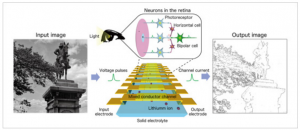 日本科學(xué)家發(fā)明一種能夠模仿人類視錯(cuò)覺的人工視覺設(shè)備