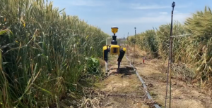 新型農(nóng)田行走移動機器人助推農(nóng)業(yè)創(chuàng)新