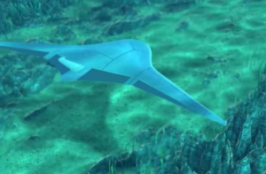 DARPA 授予洛馬和格魯曼水下無人機的第二階段合同