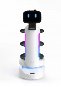 極克小九機(jī)器人