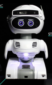 Misty RoboticsMisty II