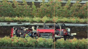 Abundant Robots 的核心變化是否足夠？