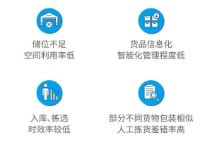 表現(xiàn)亮眼！極智嘉作為行業(yè)獨角獸巨頭再登北京衛(wèi)視