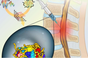 利用人工智能和機(jī)器人技術(shù)來治療脊髓損傷