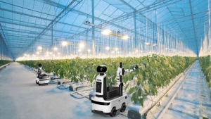 機器人進溫室：達闥采摘機器人助力農業(yè)無人化