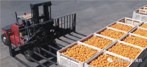 卡斯卡特叉車屬具在食品搬運(yùn)行業(yè)的應(yīng)用