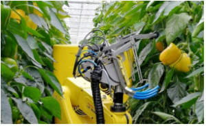 發(fā)那科機器人支持可持續(xù)農(nóng)業(yè)