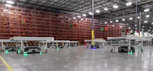 ANTS登場(chǎng) 退貨無(wú)憂 | 國(guó)自助力北美某大型家居電商平臺(tái)智能化轉(zhuǎn)型