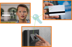 我的叉車會認人