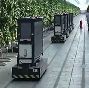 saimo:溝槽及軌道復(fù)合式RGV