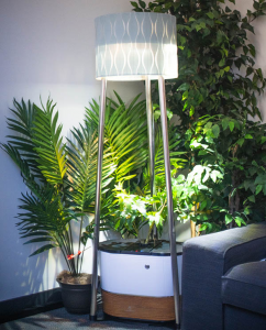 Boundless憑借植物種植機器人進軍大麻市場