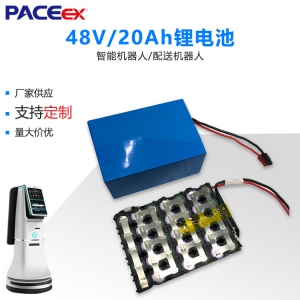 48V智能AI服務(wù)消毒機(jī)器人鋰電池餐飲巡檢機(jī)器人三元鋰電池組定制
