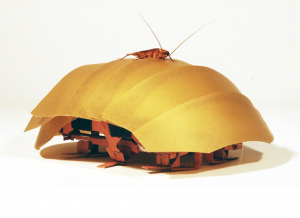 《自然》：昆蟲(chóng)為機(jī)器人的進(jìn)步提供靈感