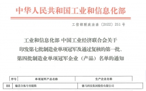 德馬科技集團(tuán)榮獲國(guó)家級(jí)“制造業(yè)單項(xiàng)冠軍”！