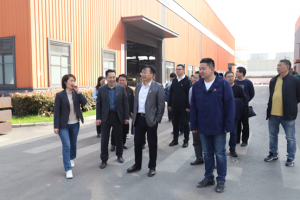 安徽省經(jīng)信廳總經(jīng)濟(jì)師潘峰帶隊(duì)赴合肥井松智能調(diào)研并開展黨支部共建活動(dòng)