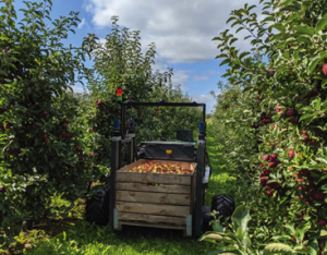 西克傳感器助力自主果園收割機器人