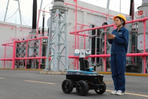 國自助力國網(wǎng)安徽：智慧巡檢 助力迎峰度夏保供電