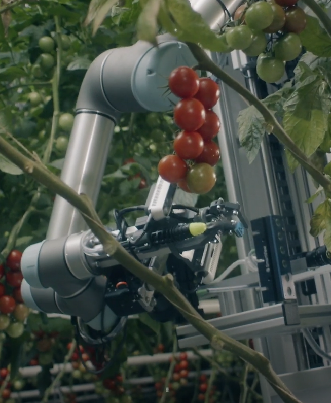  弗拉夫博特  機(jī)器人