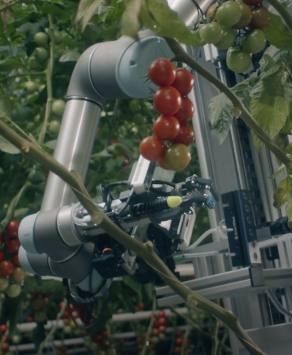  弗拉夫博特  機器人