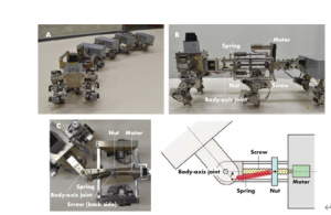 日本大阪大學(xué)開(kāi)發(fā)仿生“Myriapod”機(jī)器人依靠動(dòng)態(tài)不穩(wěn)定性進(jìn)行導(dǎo)航