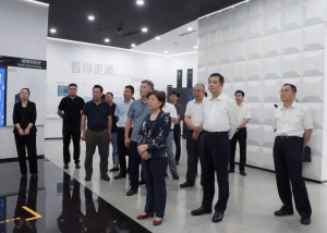 水利部副部長朱程清一行調(diào)研考察?？低? align=