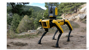 人工智能預(yù)測(cè)模型在自主機(jī)器人中的作用