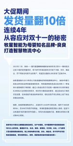 大促期間發(fā)貨量翻10倍，連續(xù)4年從容應(yīng)對雙十一的秘密