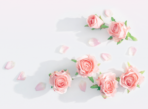 AGV網(wǎng)女神節(jié)祝福｜致敬移動機器人行業(yè)女性