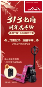 313電商周年慶專場力度飛起，嗨購來襲