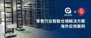 3個月高效交付，近2萬個庫位，國自助力韓國樂天集團倉儲物流中心智能升級！